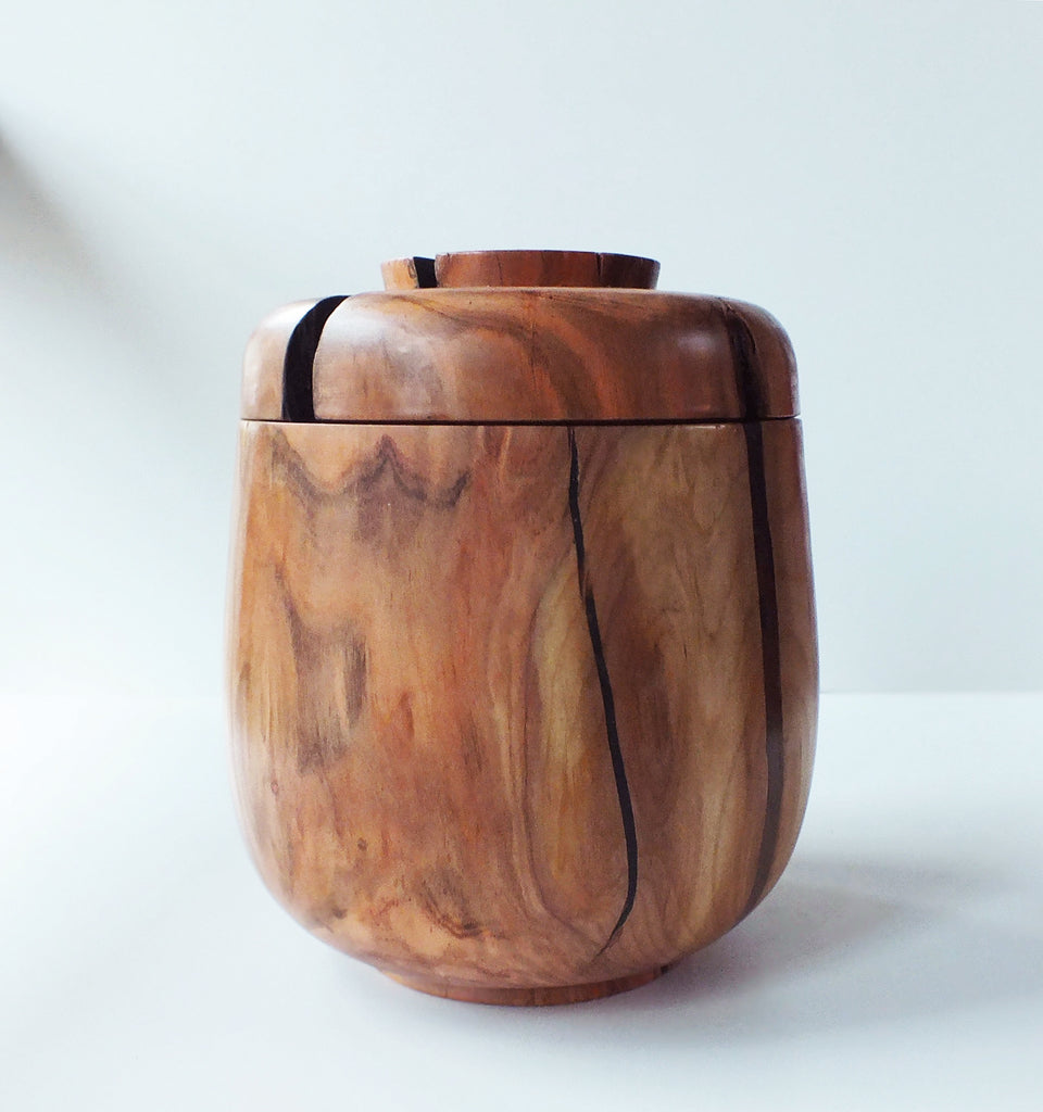 Jar of an old Italian apple tree - Marisa Klaster, Het Houtlokaal